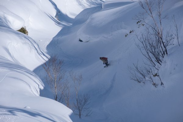 Shirebetsu Heli Ski 2.27.20-46