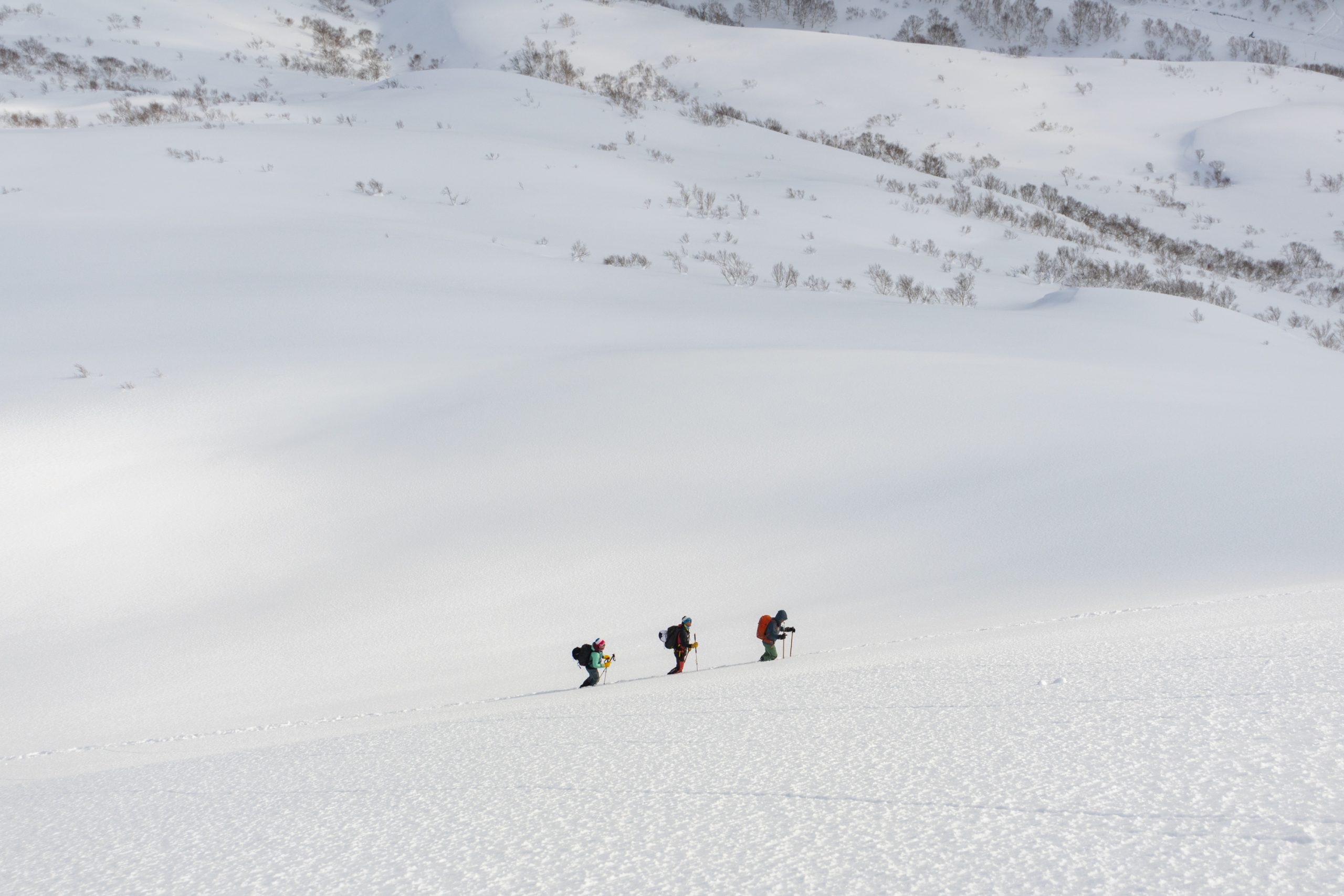 Guided Backcountry Touring in Niseko | Hokkaido Powder & Professional Photography